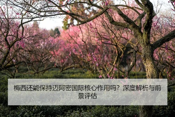 梅西还能保持迈阿密国际核心作用吗？深度解析与前景评估